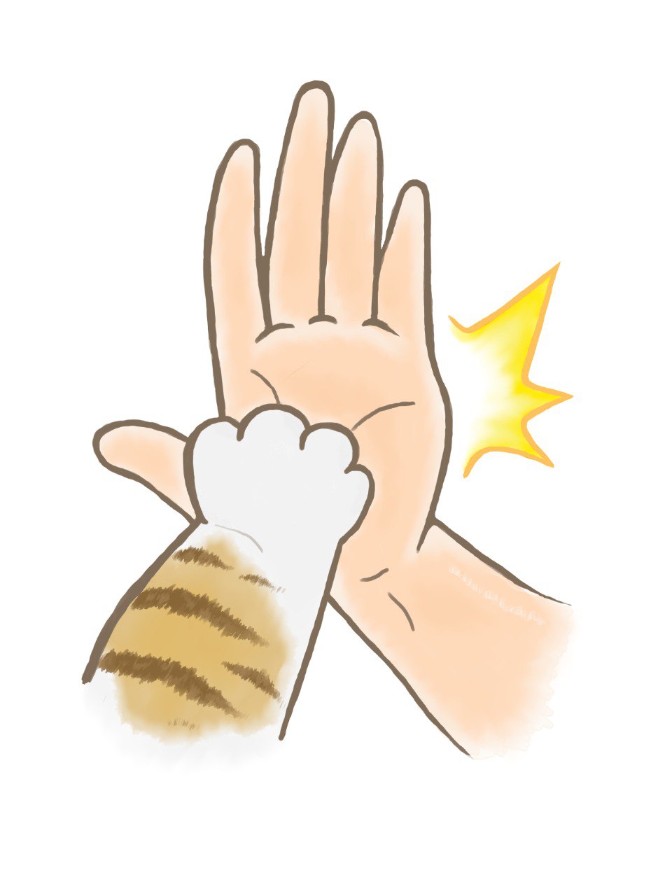 Step 3